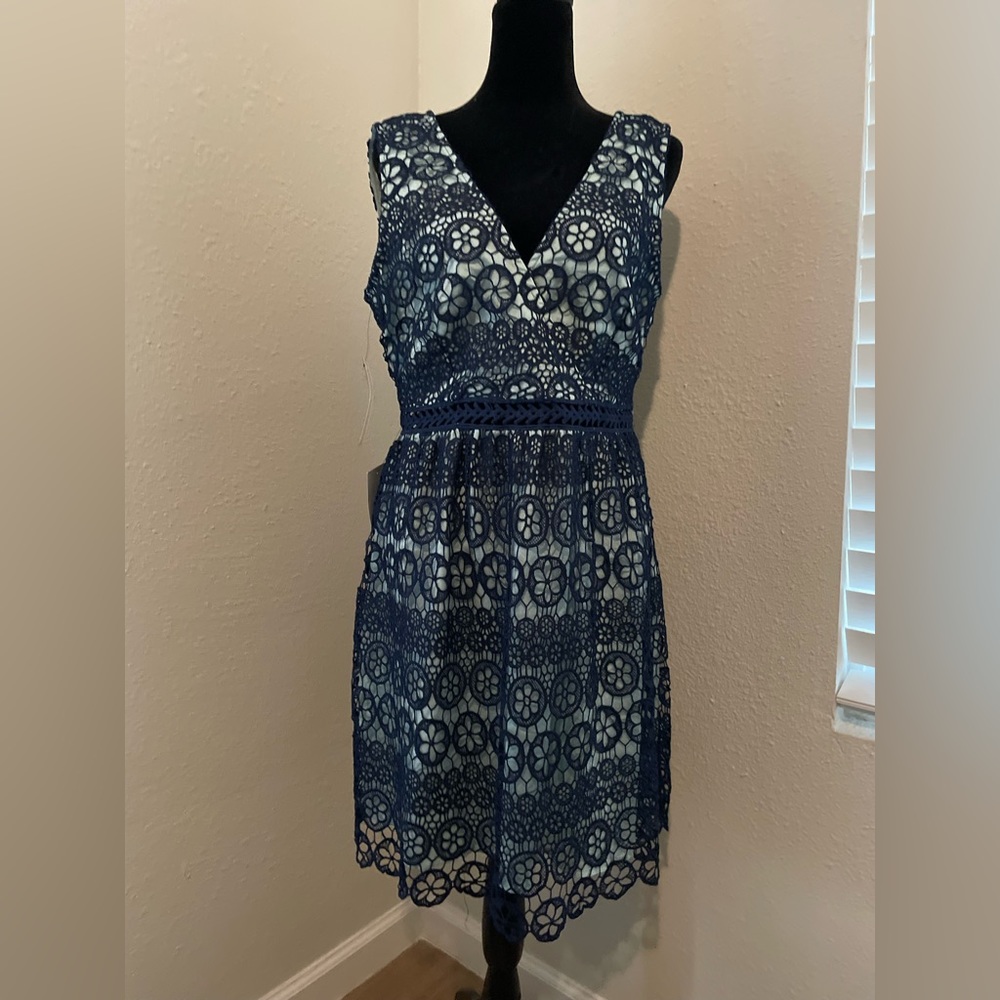 Lulus Blue Lace Dress